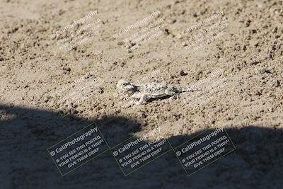 media/Sep-20-2025-Race Pace (Sat) [[d4e1b33f4d]]/1- Around the Pits/